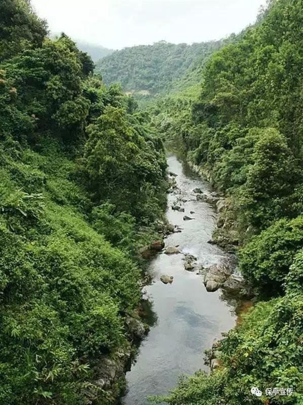 国王的坐骑